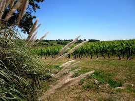 225385_10150254760280250_4526936_n