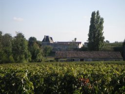 4523_105325985249_3955372_n